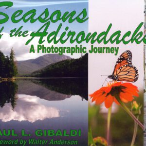 Seasons of the Adirondacks
